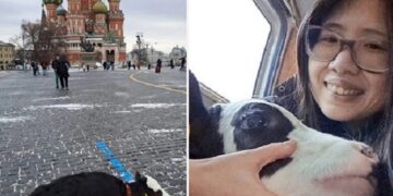 جنجال شهروند وگان آمریکایی در روسیه