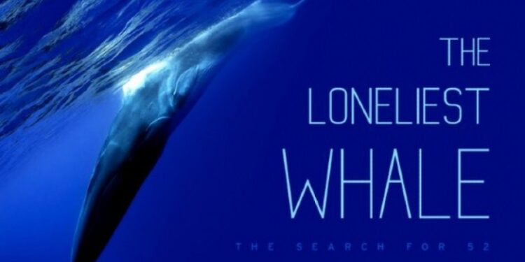 تنهاترین نهنگ جهان