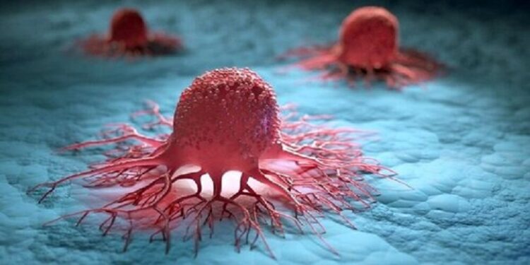 سلول های سرطانی بدن