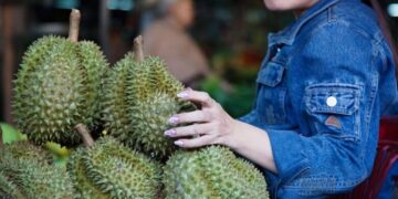 میوه بدبویی که جلوی یک پرواز ترکیه را گرفت!