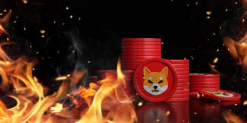 طی 24 ساعت بیش از 14 میلیون شیبا سوزانده شد