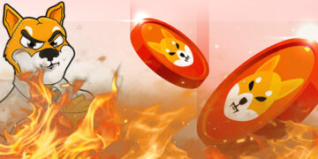 سوزاندن 1.1 میلیارد شیبا و رشد 1 میلیون درصدی توکن سوزی