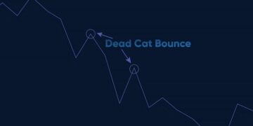 الگوی جهش گربه مرده