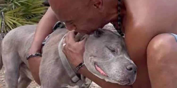 مردی با سگش پس از ۱۰ سال ملاقات احساساتی داشت.