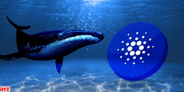 تنها 8 درصد از ذخایر کاردانو در دستان نهنگ‌ها است