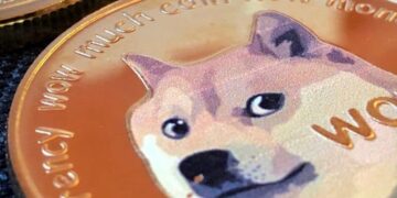 هولد دوج کوین