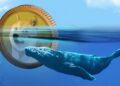 نهنگ‌های دوج کوین