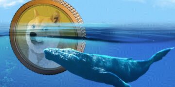 نهنگ‌های دوج کوین