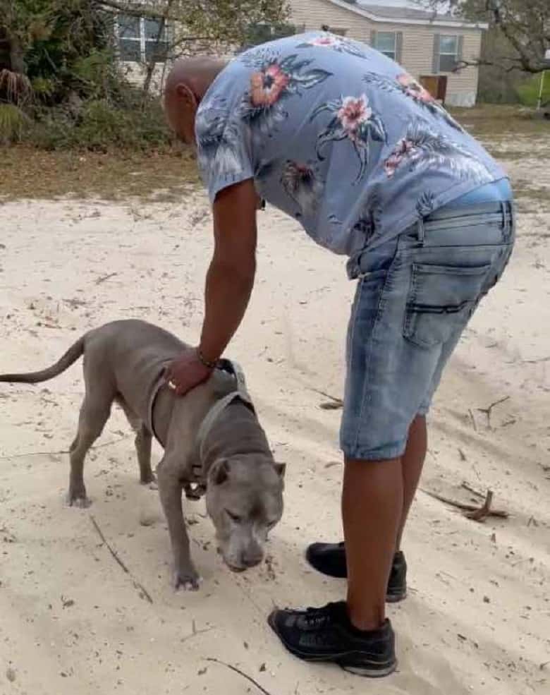 مردی پس از 10 سال ملاقات با سگ خود احساساتی داشت.