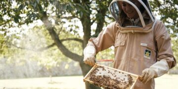 اهمیت زنبور داری از نگاه آقای فوتبالیست و ملکه بریتانیا!