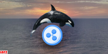 طی سه هفته 52 میلیون XRP توسط نهنگ‌ها خریداری شده است