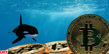 1686220482 823 ارز اِستِیسیس یورو EURS چیست؟