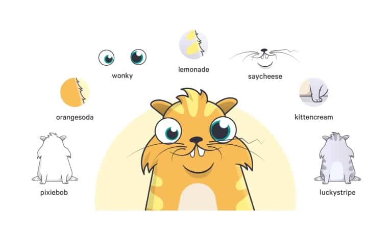 ژنتیک گربه های CryptoKitties