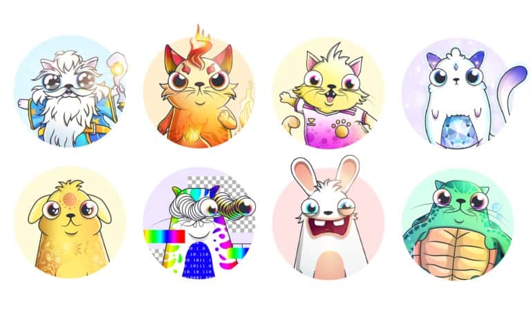 گربه های منحصر به فرد CryptoKitties