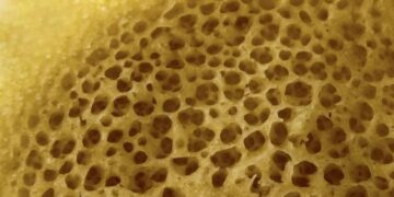 با این وسیله روبات ها می توانند اجسام ظریف را