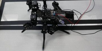 ساخت ربات های چابک با الهام از حشرات واقعی