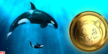 نهنگ ها 542 میلیون شیبا اینو را جابجا می کنند