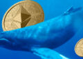 نهنگ های اتریوم 140 میلیون دلار به صرافی ها منتقل می کنند