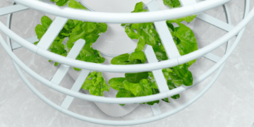 این باغ هیدروپونیک آپارتمان شما را گلخانه می کند