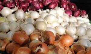 اجرای الگوی کشت راهکار تنظیم بازار پیاز