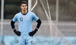 بازیکنان از جیبشان برای واردات خودرو هزینه کرده‌اند