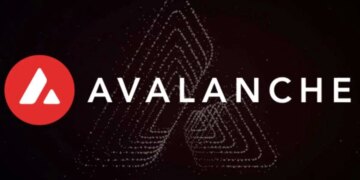 بنیاد آوالانچ وارد بازار میم کوین‌ها می‌شود