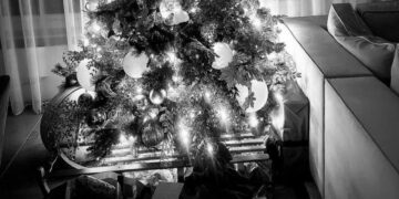 مردم غزه را نباید فراموش و به دردشان عادت کنیم/ عکس