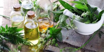 نکات پرورش گیاهان دارویی در فضای باز برای افراد مبتدی