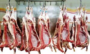 آن‌ها که گوشت را حتی قسطی هم نمی‌توانند بخرند