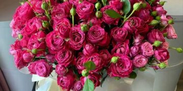 انواع گل شاخه بریده – پایگاه اطلاع رسانی دیارمیرزا