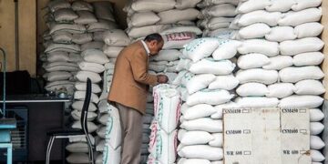 فسادی در واردات برنج نداشتیم