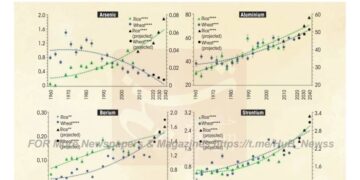 قحطی خاموش برنج هندی خالی از مواد مغذی و پُر