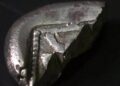 کشفی جدید از زمان حکومت هخامنشیان بر اورشلیم؛ سکه کمیابی که ۲۵۵۰ سال قدمت دارد