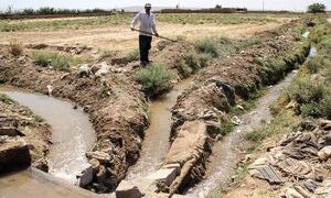 ۹۰ درصد آب استحصال شده صرف کشاورزی اشتباه می‌شود