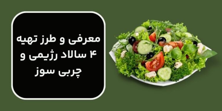 معرفی و طرز تهیه 4 سالاد رژیمی و چربی سوز