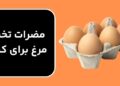 مضرات تخم مرغ برای کبد
