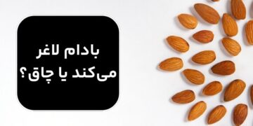 1710599997 آیا بادام شما را لاغر می کند یا چاق؟ خواص