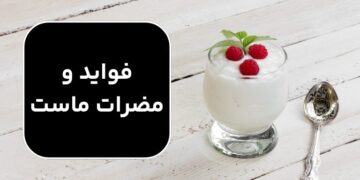 فواید و مضرات ماست