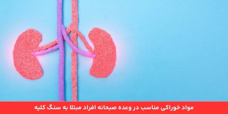 غذای مناسب برای صبحانه برای افراد مبتلا به سنگ کلیه