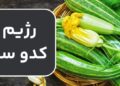 رژیم کدو سبز ؛ کدو سبز چگونه با لاغری و کاهش وزن کمک می کند؟