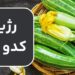 رژیم کدو سبز ؛ کدو سبز چگونه با لاغری و کاهش وزن کمک می کند؟