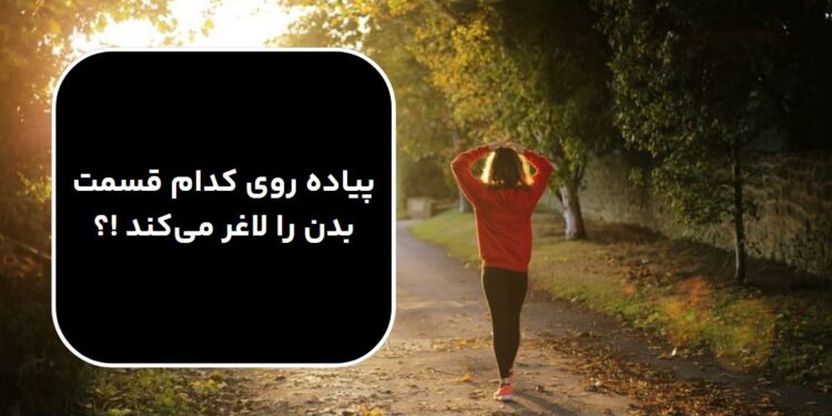 پیاده پیاده روی کدام قسمت بدن را لاغر می‌کند !؟روی کدام قسمت بدن را لاغر می‌کند !؟