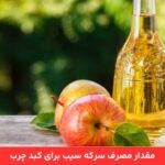 1710823358 175 سرکه سیب برای کبد چرب