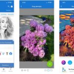 1710925472 263 8 اپلیکیشن برتر برای تبدیل عکس به نقاشی و آثار