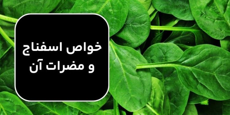 خواص اسفناج و مضرات آن