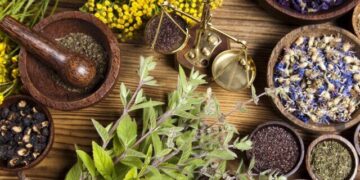 1711700854 گیاهان دارویی؛ ظرفیتی پول ساز برای استان ایلام