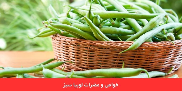 خواص و مضرات لوبیا سبز