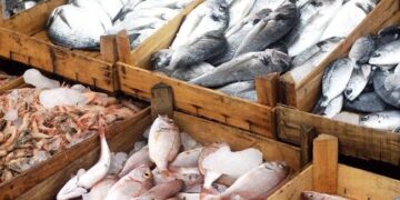 اعطای کد یکتا در سامانه بازارگاه به مزارع خرد آبزی‌پروری