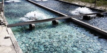 بازنشستگی مشاغل سخت و زیان‌آور برای برخی صیادان به تایید