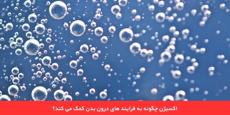 چگونه اکسیژن به فرآیندهای بدن کمک می کند؟